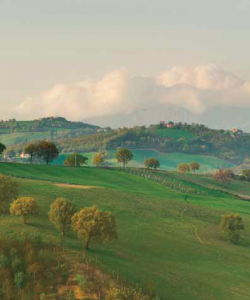 Umbria. Photograph © Mauro Benedetti.