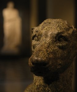 Ancient Faces. Photograph © Mauro Benedetti.