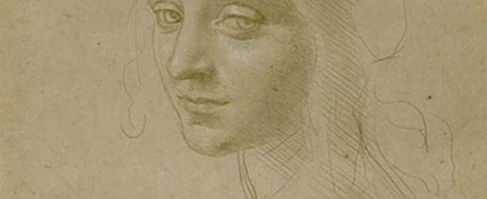 Head of a Young Woman - da Vinci