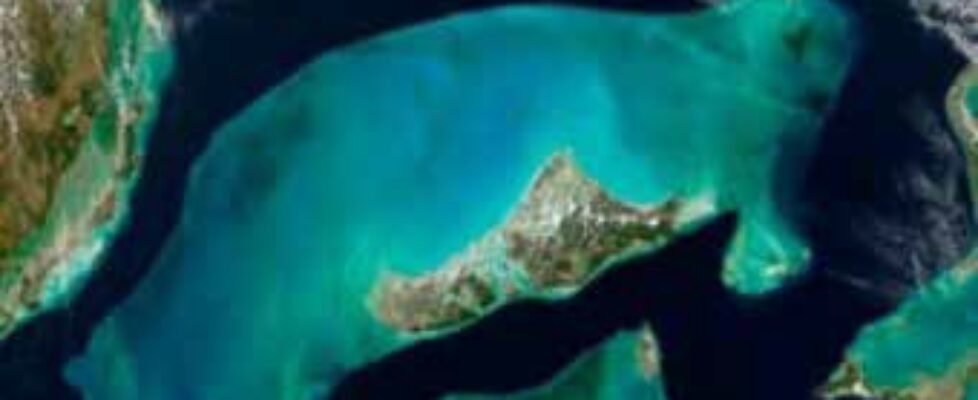 NOTABLE The Health of the Oceans 3